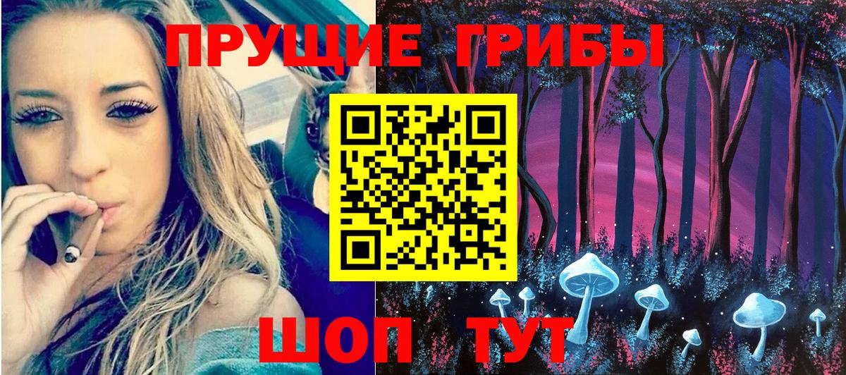 хочу   Вход с VPN  Дубна  Псилоцибиновые грибы GOLDEN TEACHER 