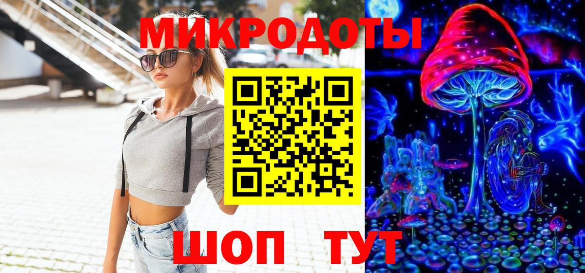 Галлюциногенные грибы Psilocybine cubensis Дубна
